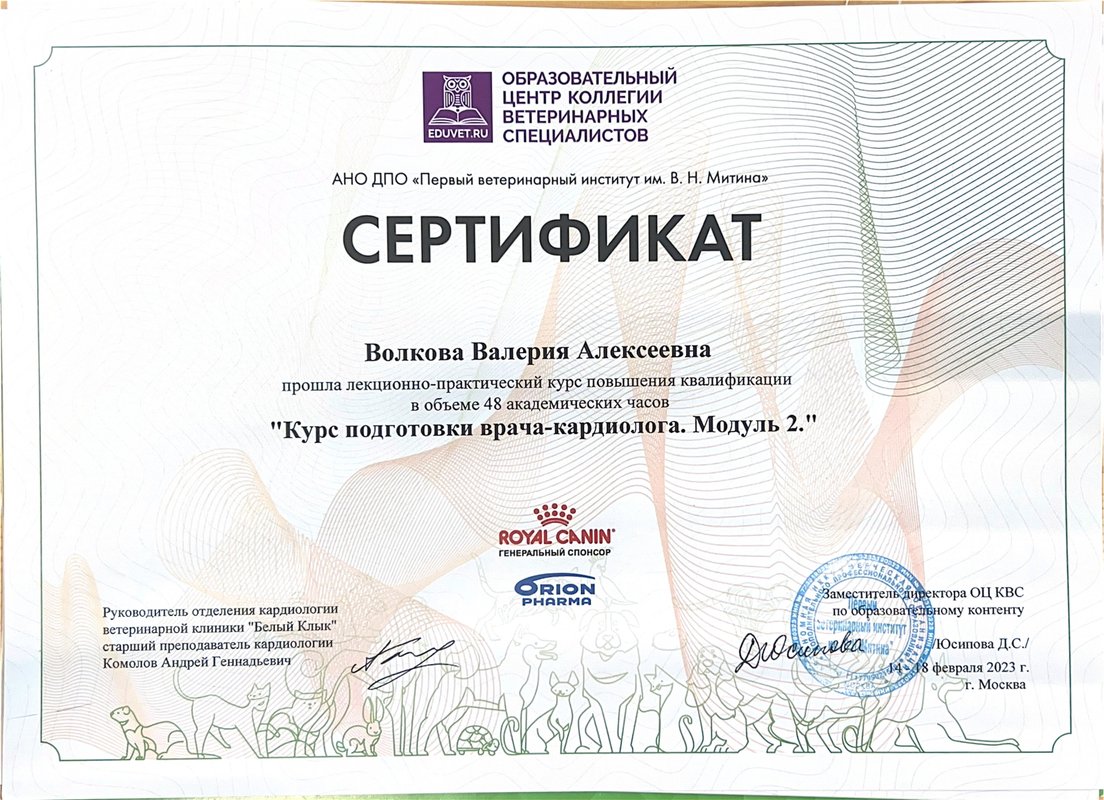 Документ или сертификат