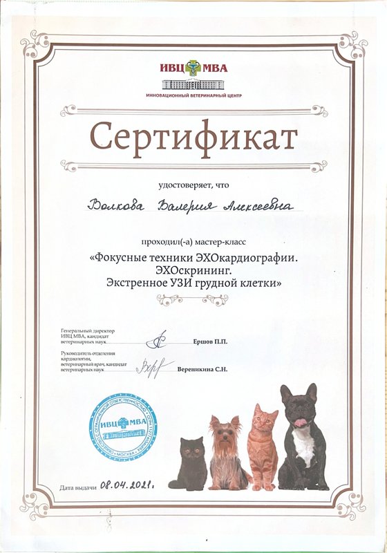 Документ или сертификат