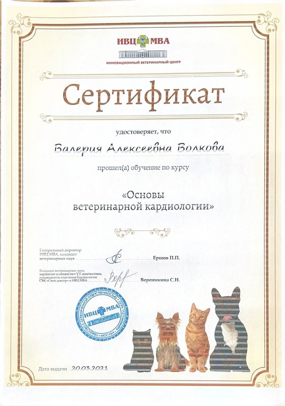 Документ или сертификат