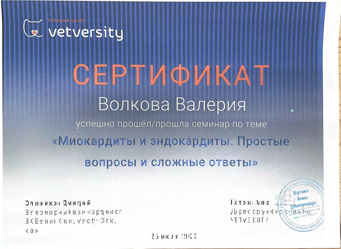 Документ или сертификат