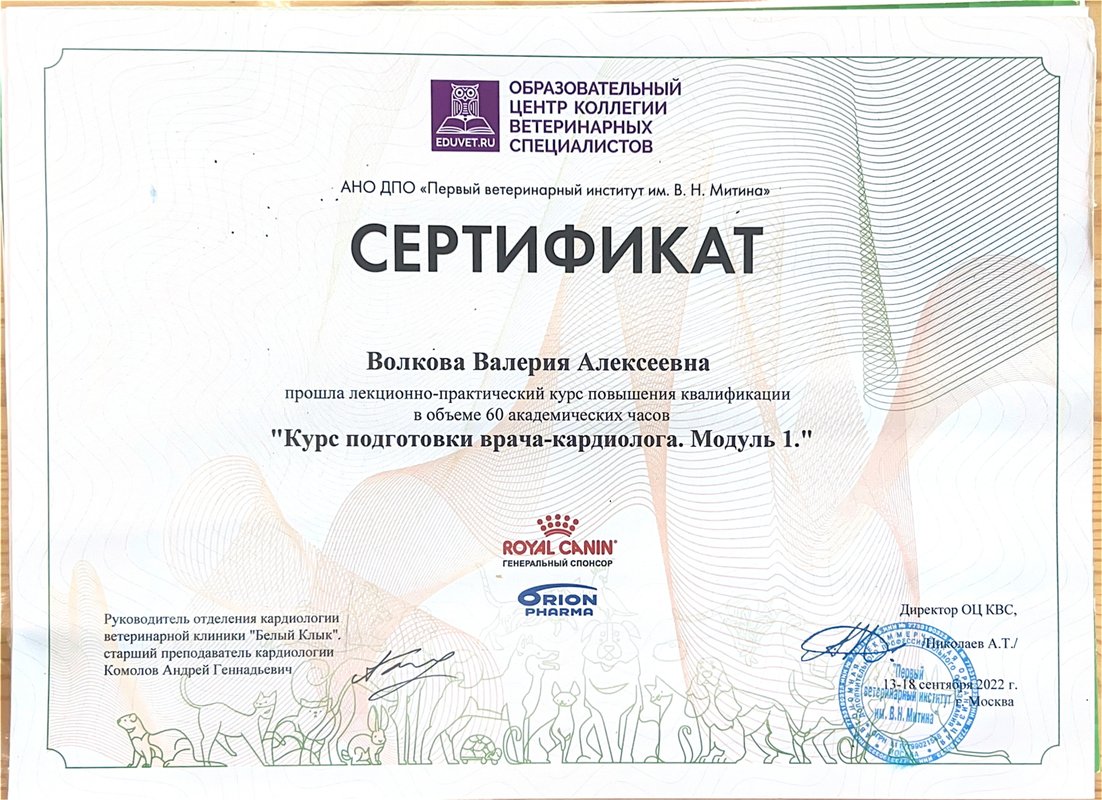 Документ или сертификат