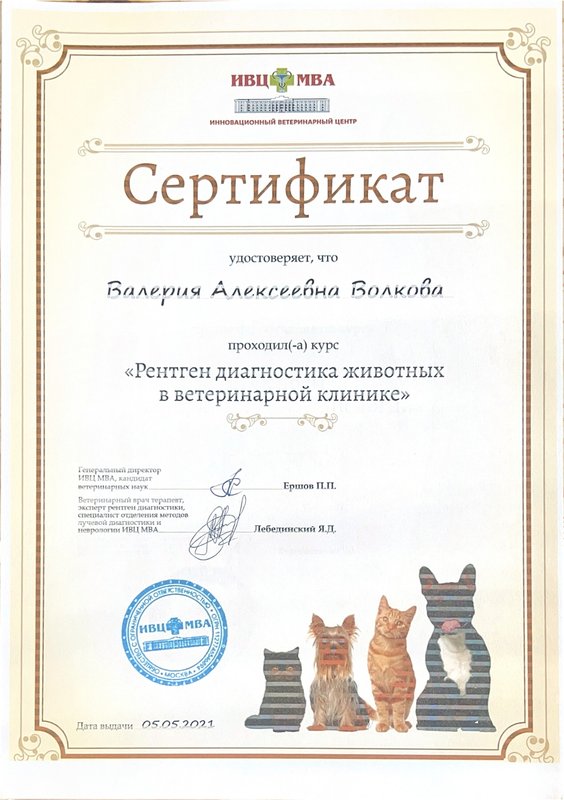Документ или сертификат