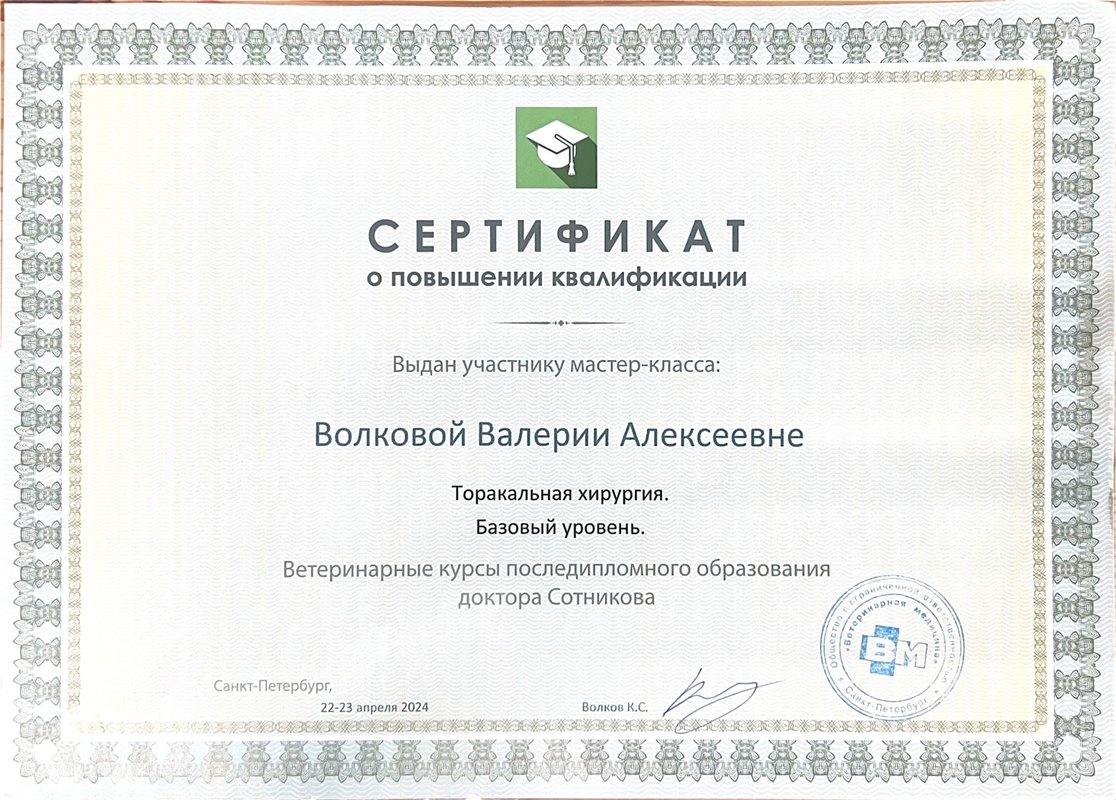 Документ или сертификат