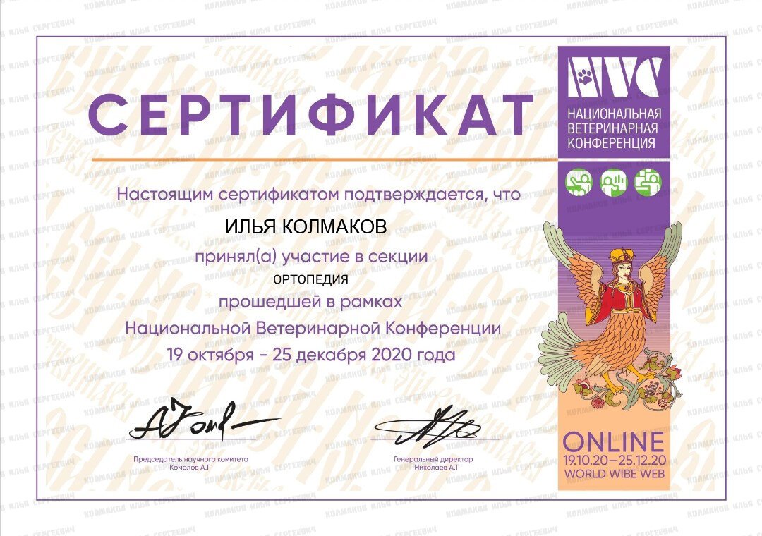 Документ или сертификат