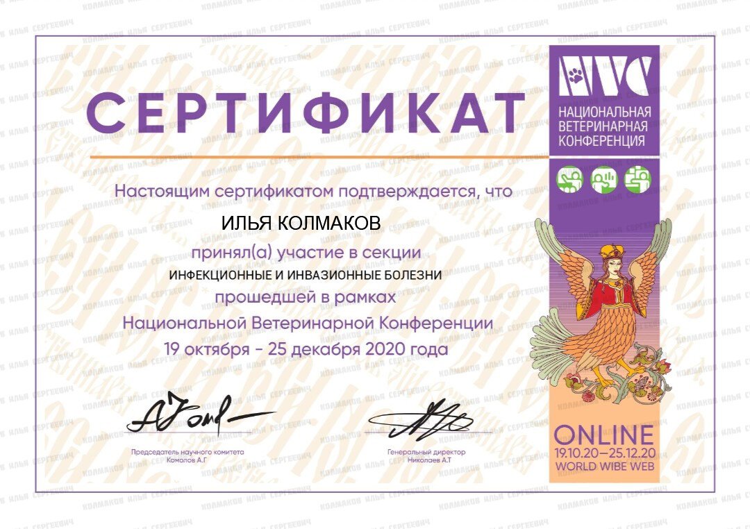 Документ или сертификат