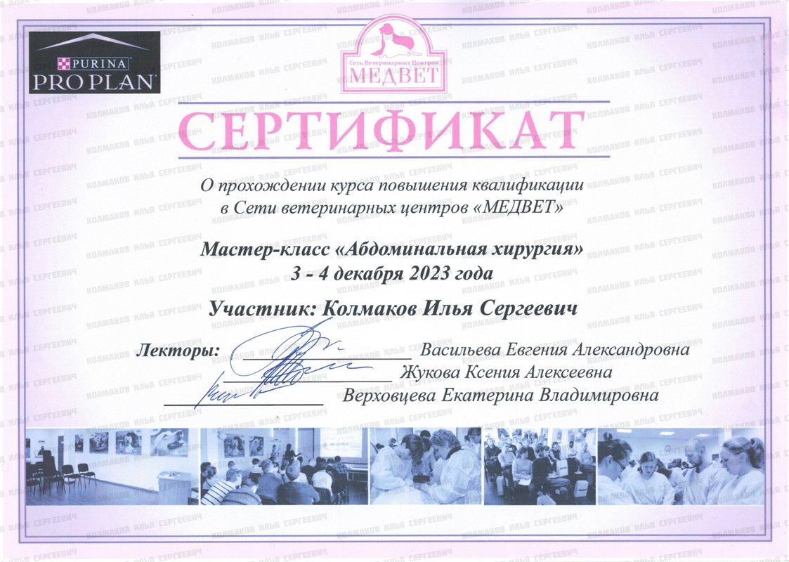 Документ или сертификат