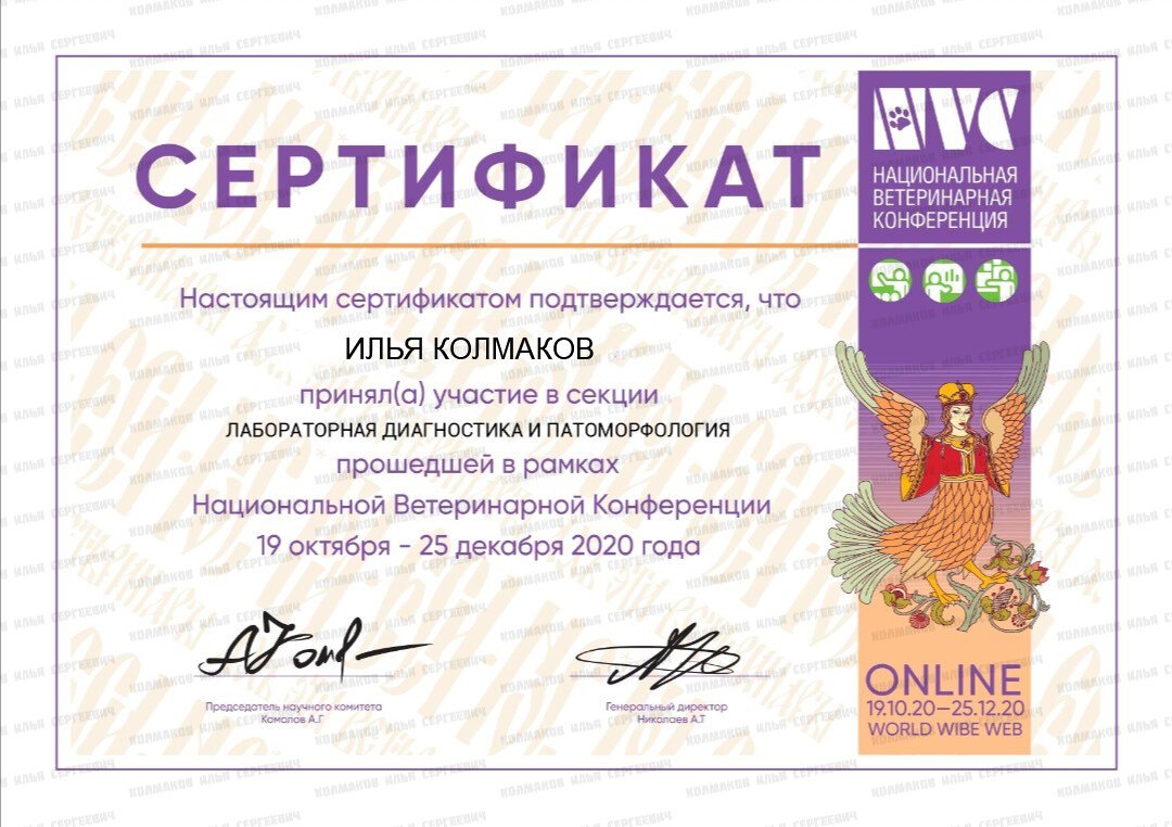 Документ или сертификат