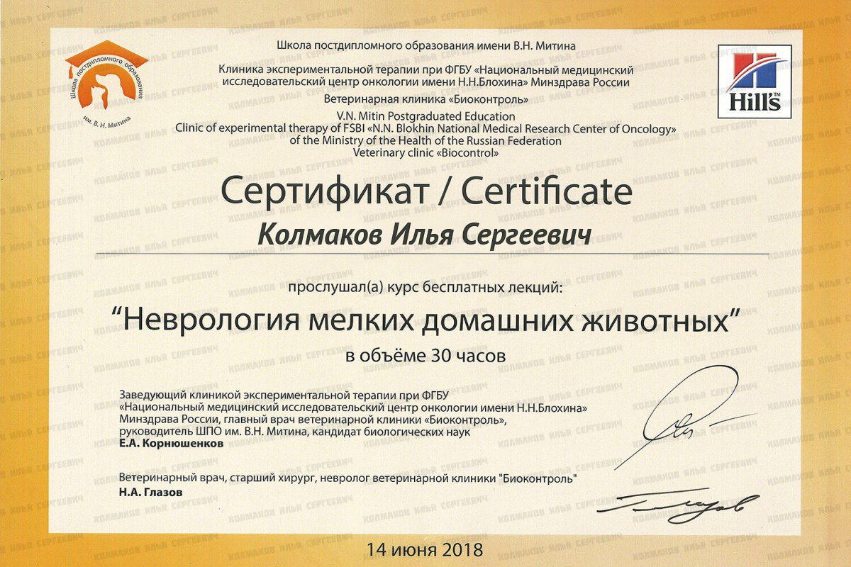 Документ или сертификат