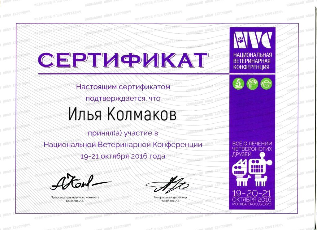 Документ или сертификат