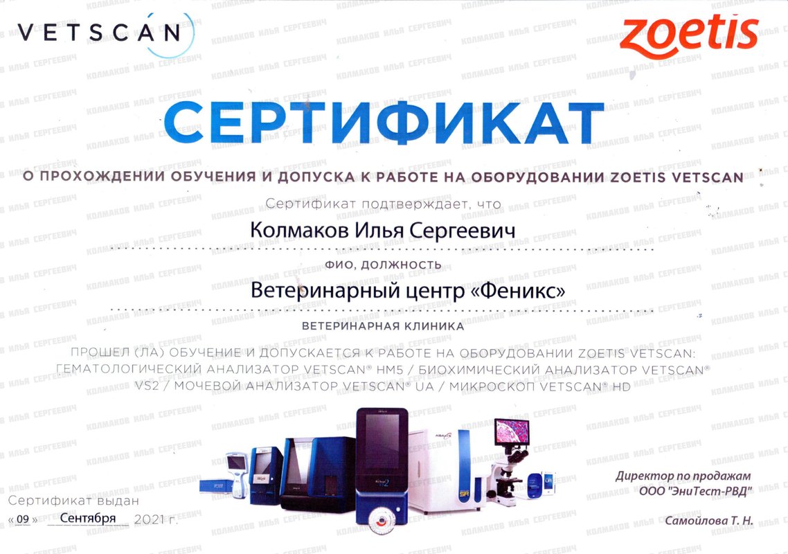 Документ или сертификат