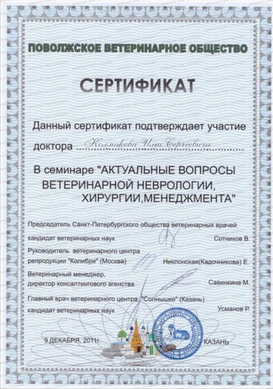 Документ или сертификат