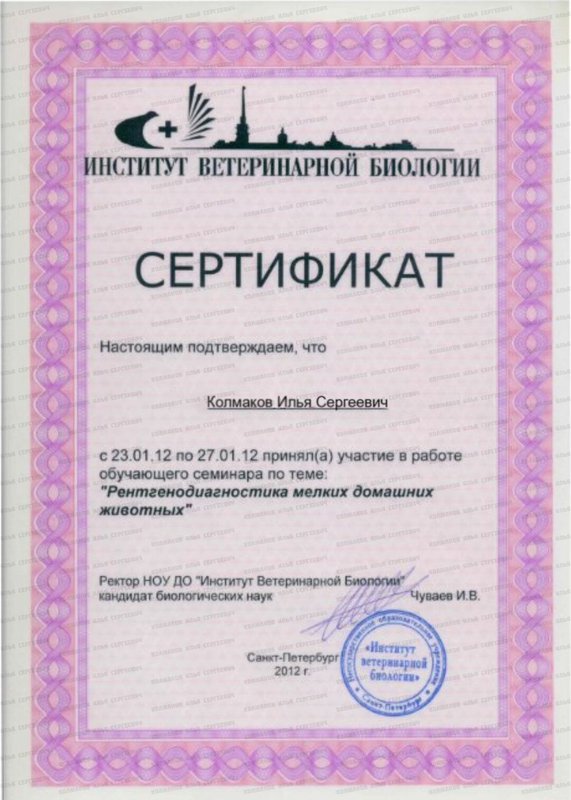Документ или сертификат