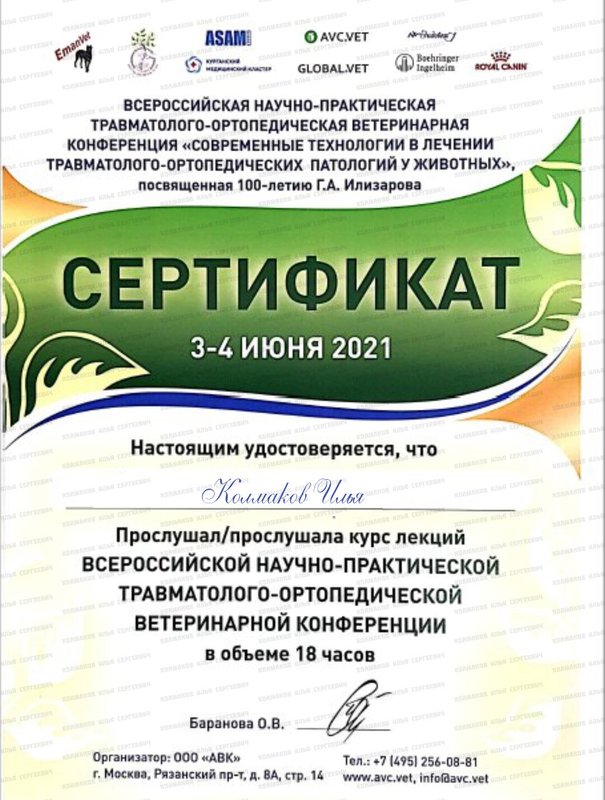 Документ или сертификат