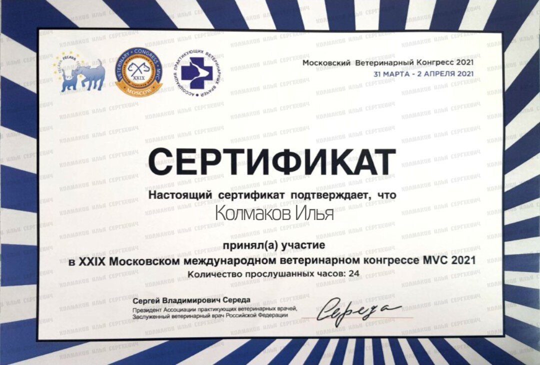 Документ или сертификат