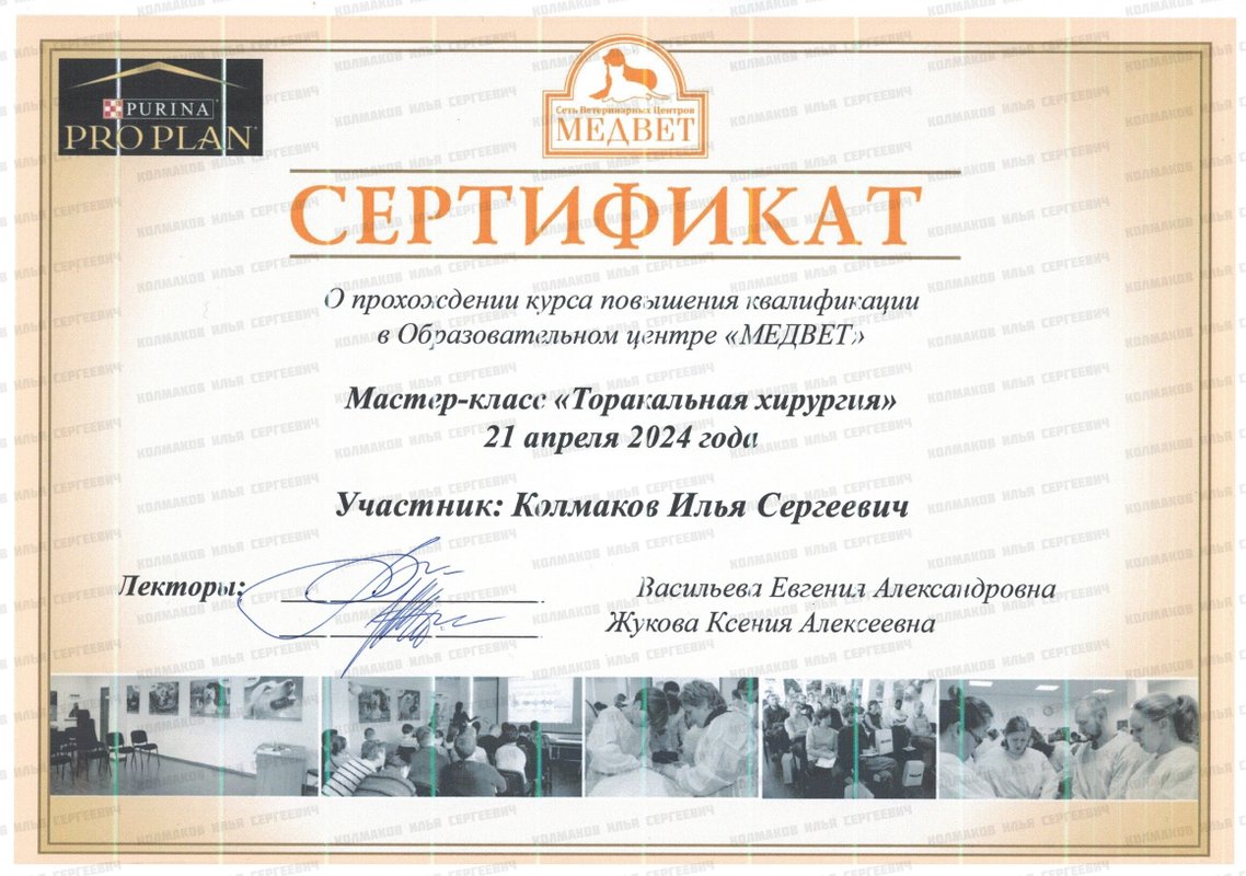 Документ или сертификат