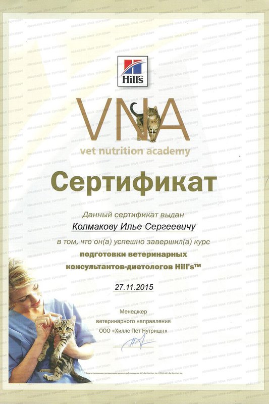 Документ или сертификат