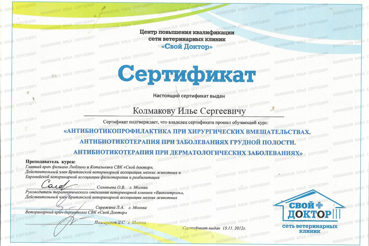 Документ или сертификат