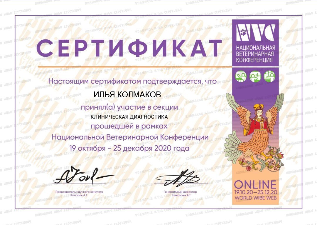 Документ или сертификат