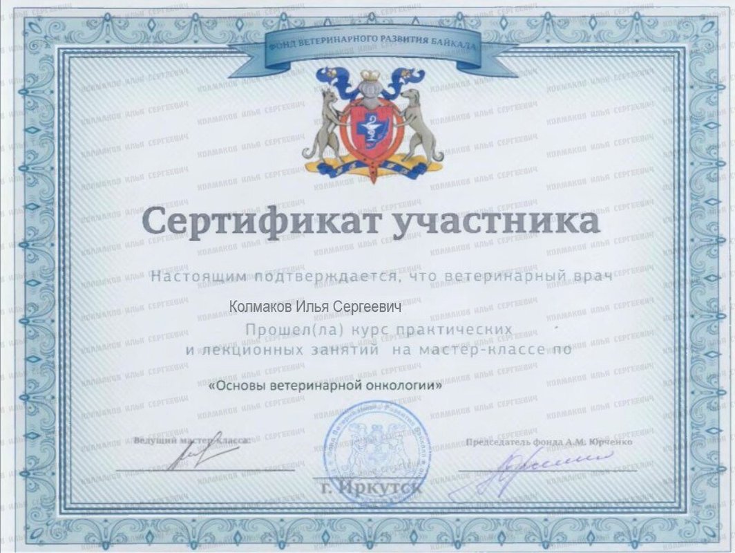 Документ или сертификат