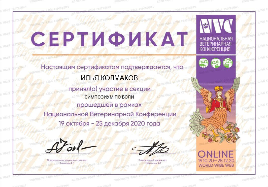 Документ или сертификат