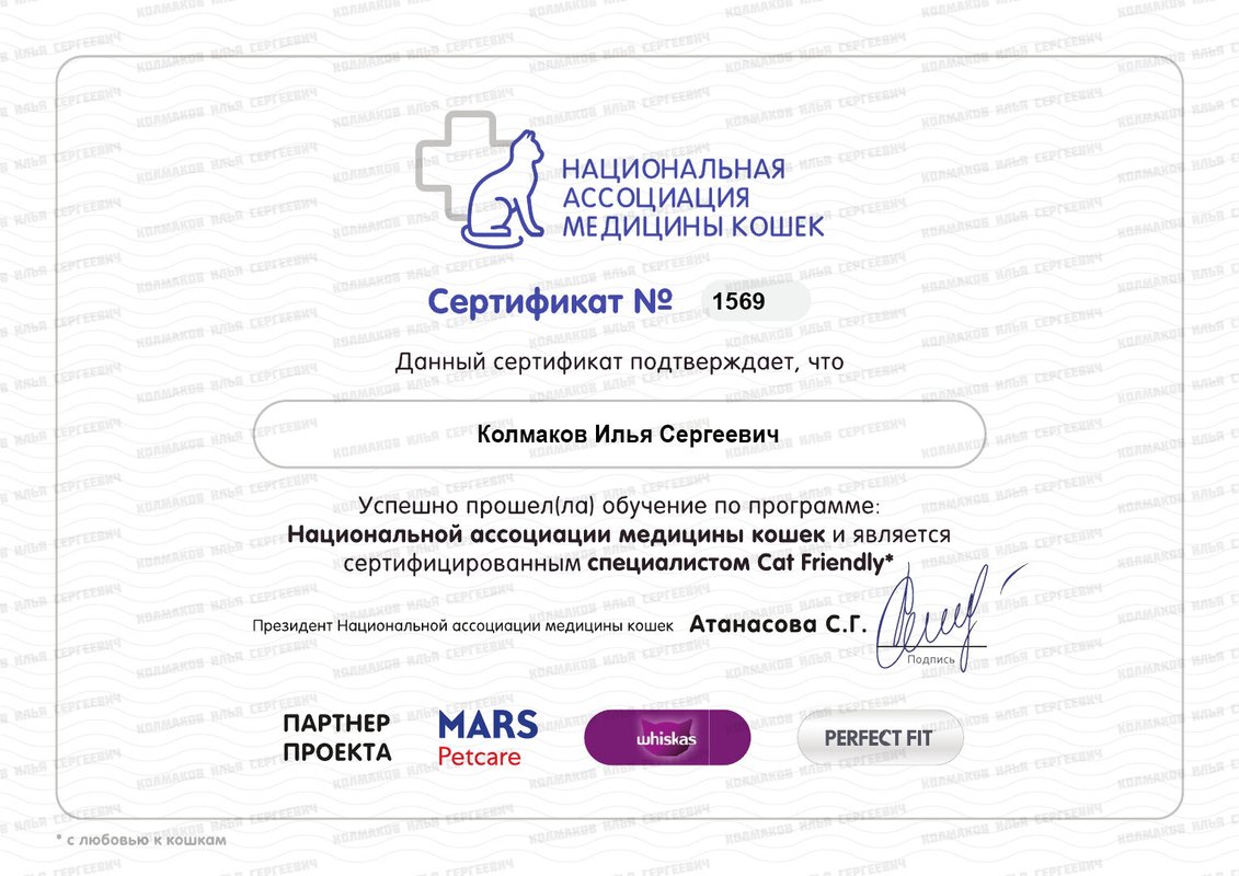 Документ или сертификат
