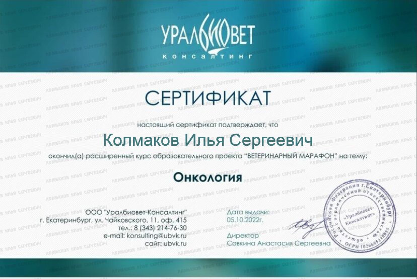 Документ или сертификат
