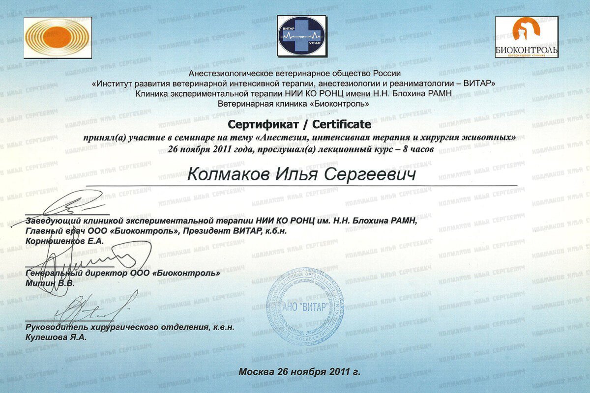 Документ или сертификат