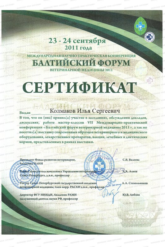 Документ или сертификат