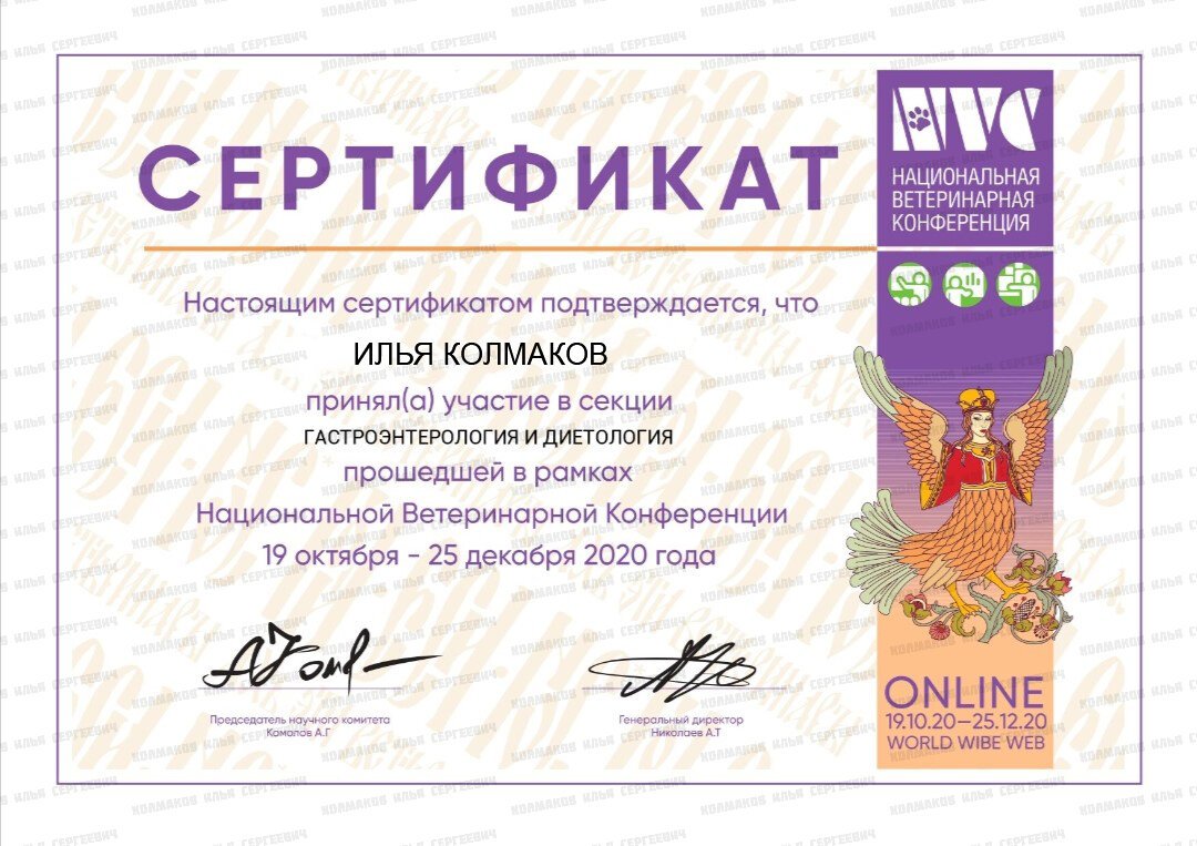 Документ или сертификат