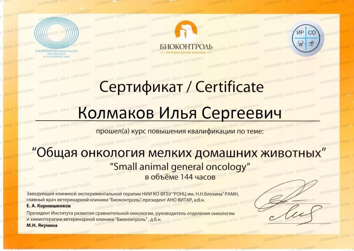 Документ или сертификат
