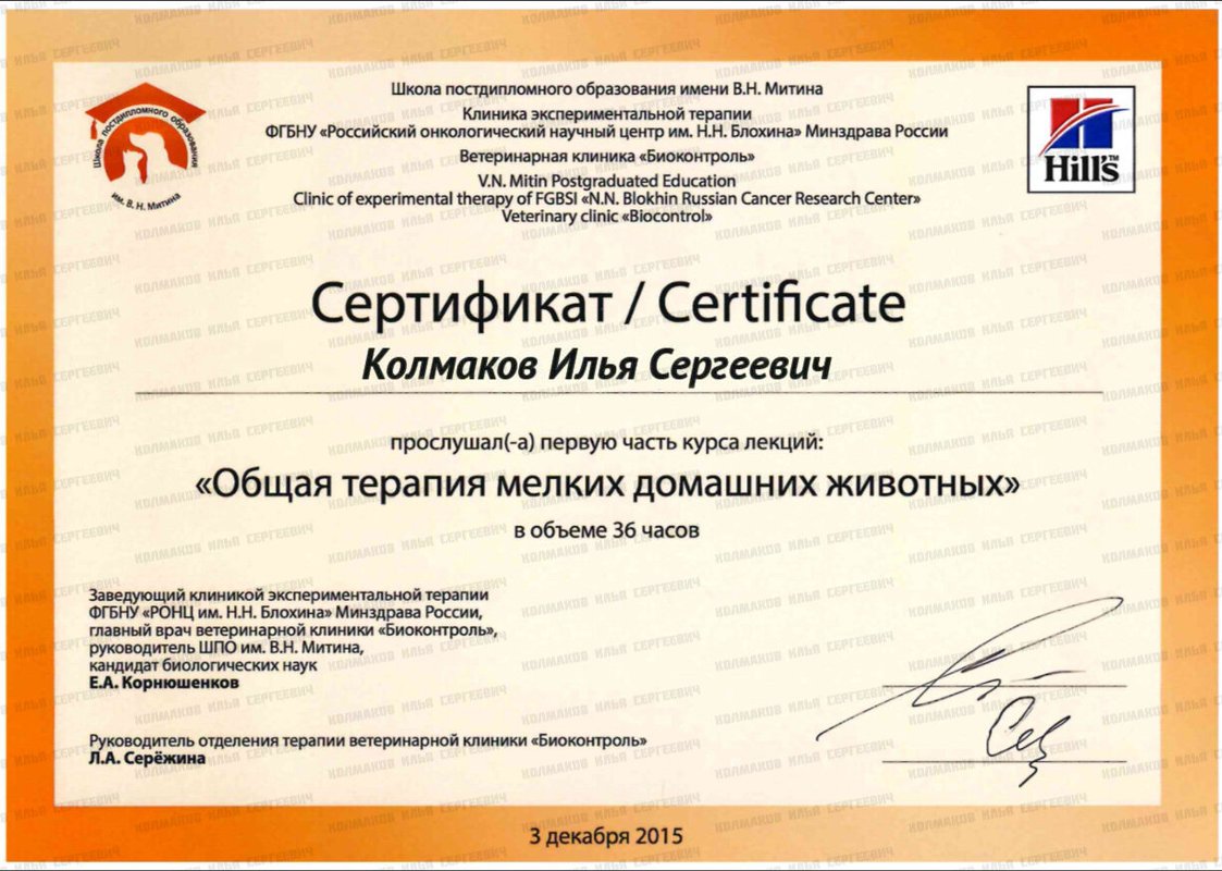 Документ или сертификат