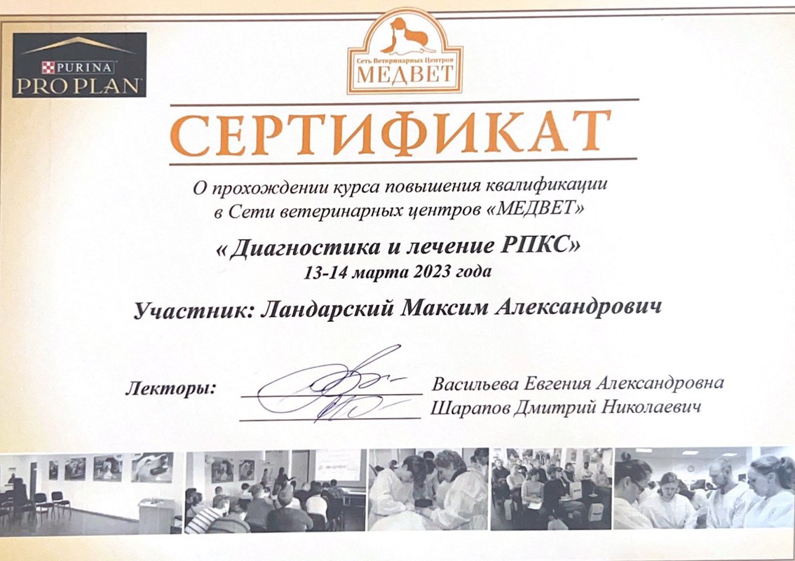 Документ или сертификат