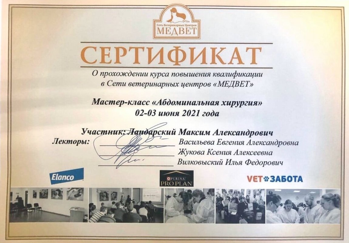 Документ или сертификат