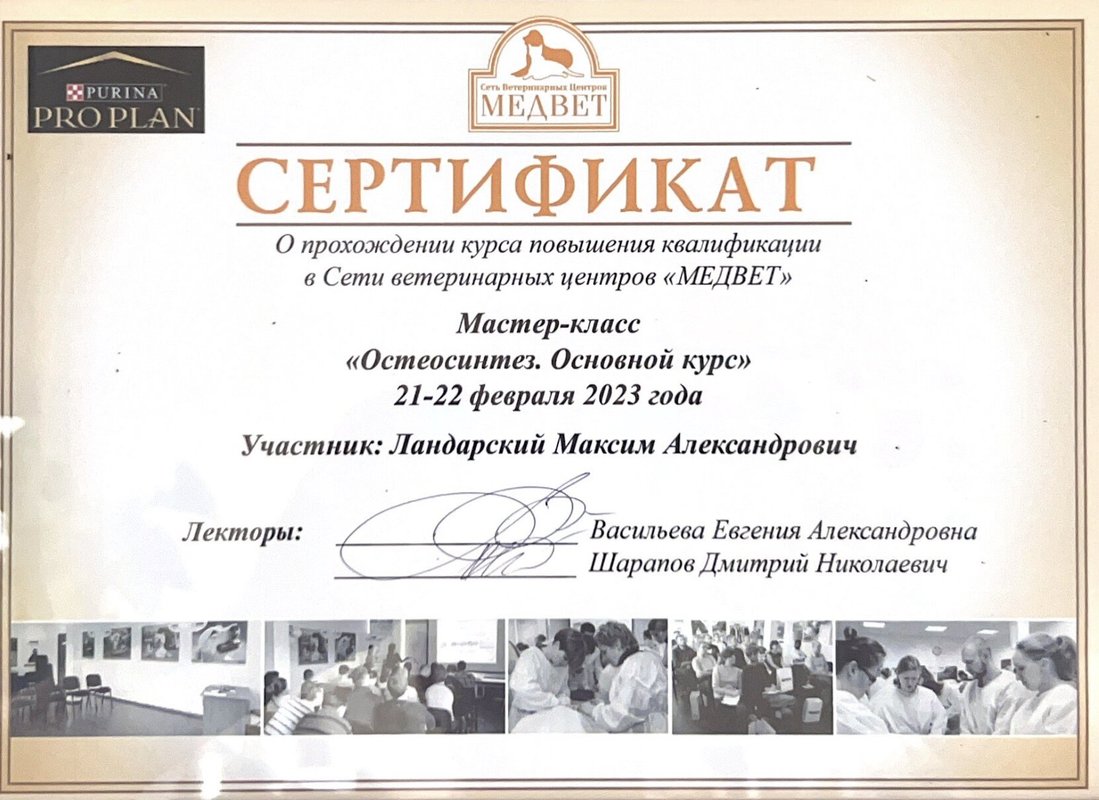 Документ или сертификат