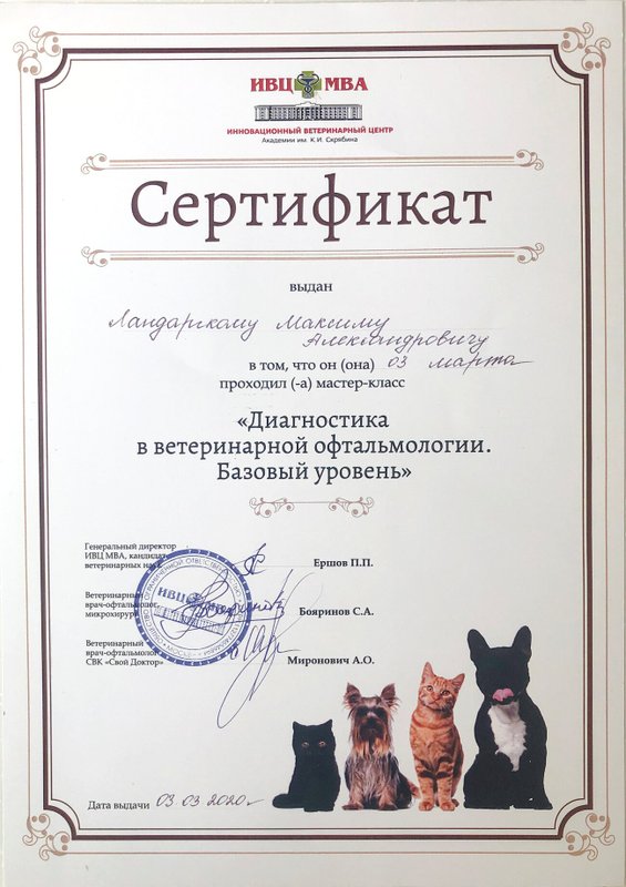 Документ или сертификат