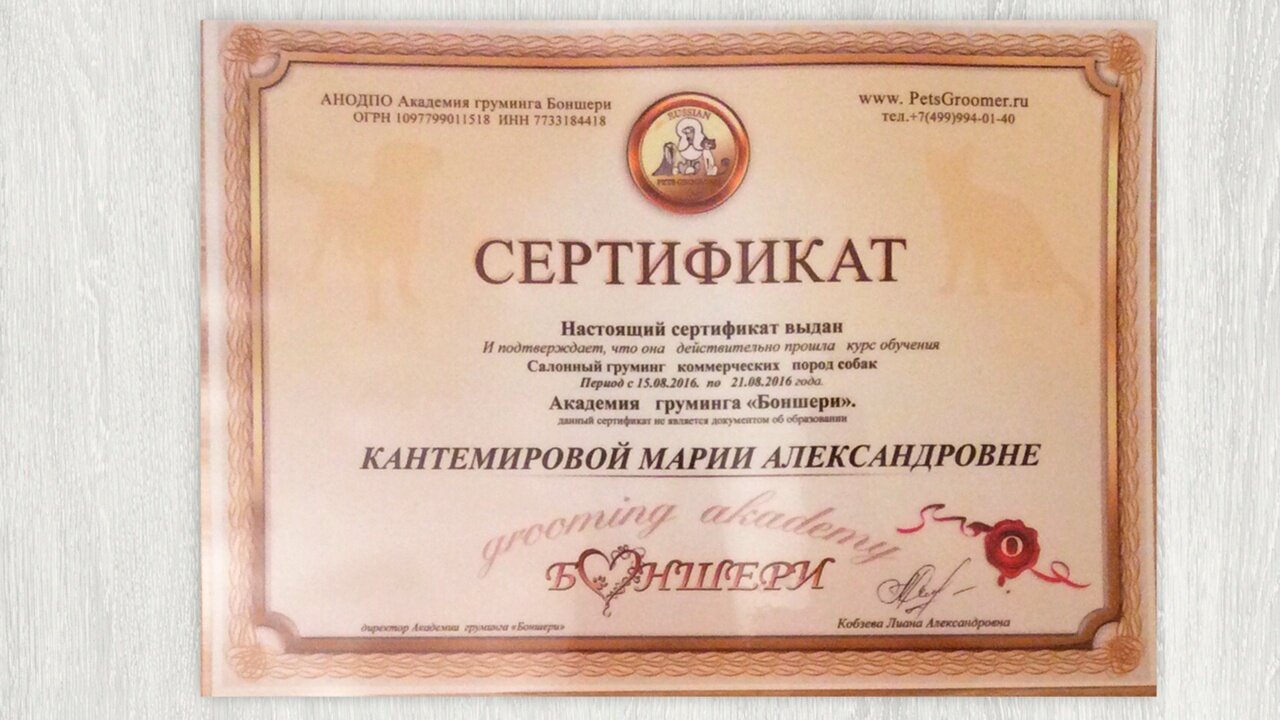 Документ или сертификат