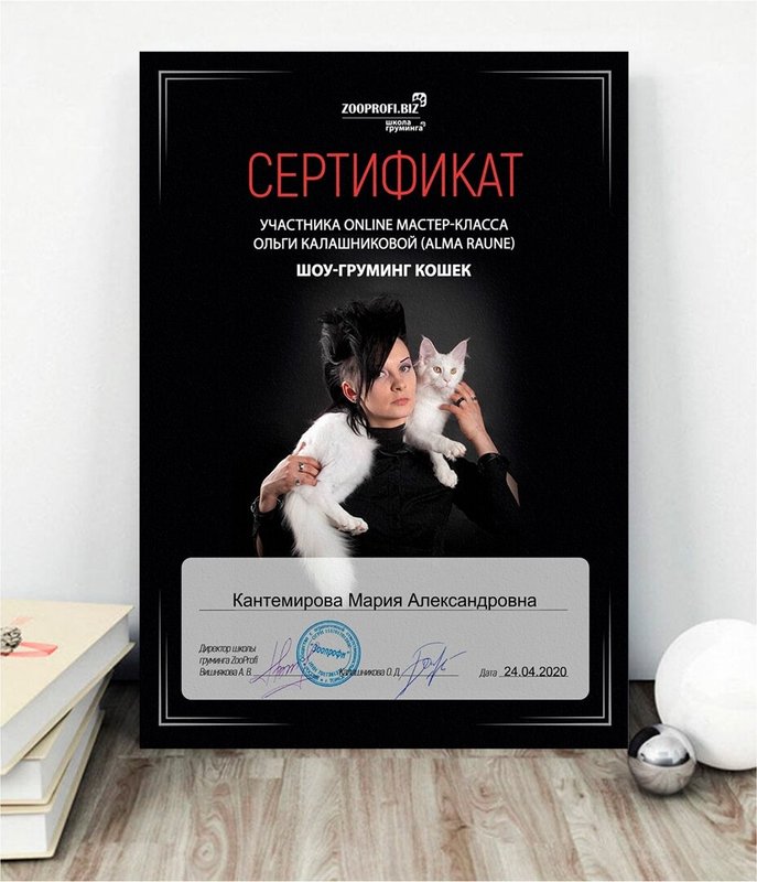Документ или сертификат