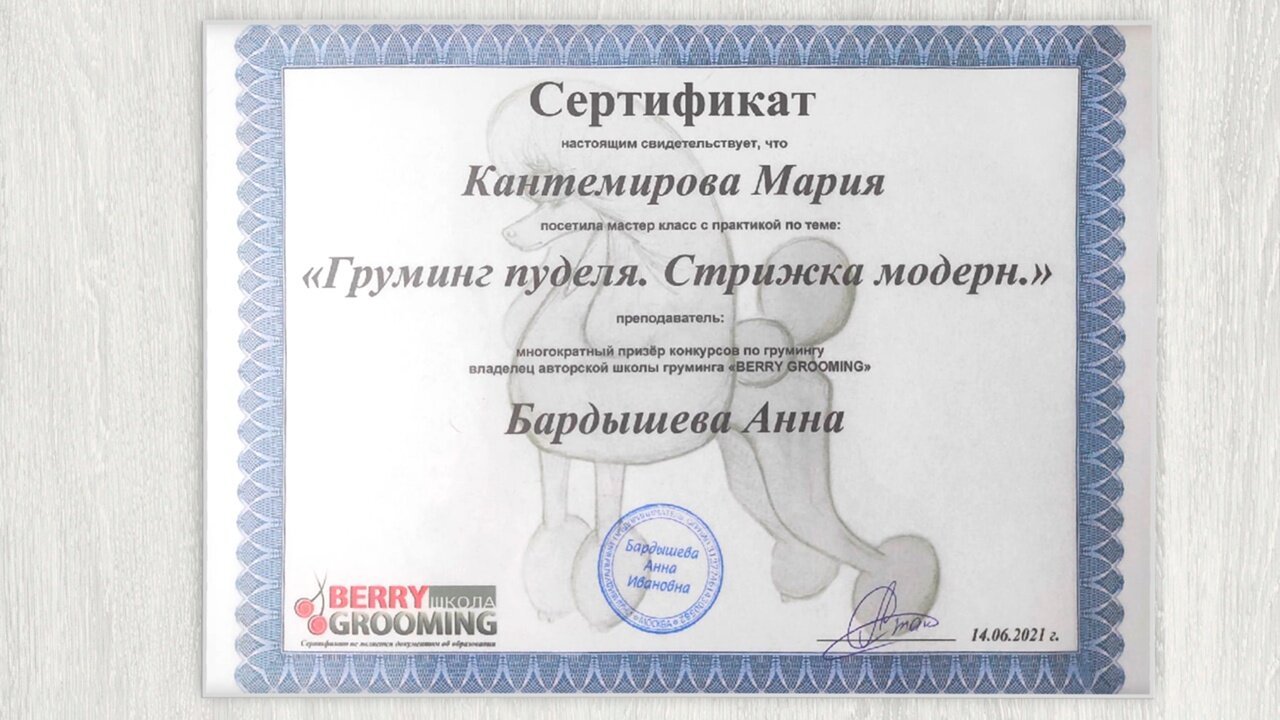Документ или сертификат