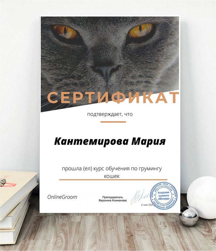 Документ или сертификат