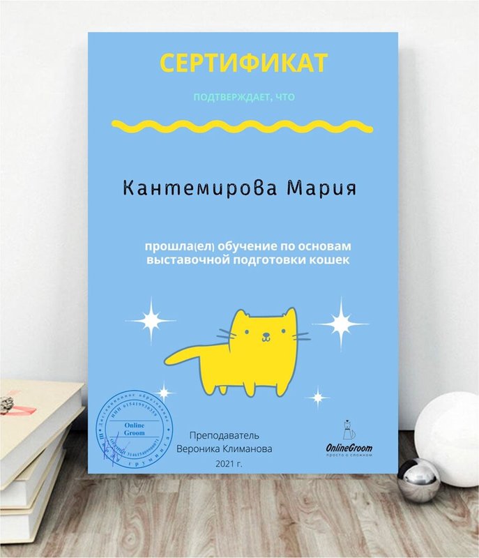 Документ или сертификат