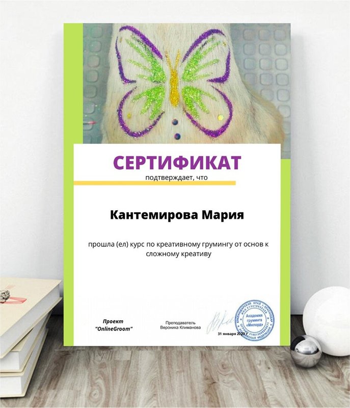 Документ или сертификат