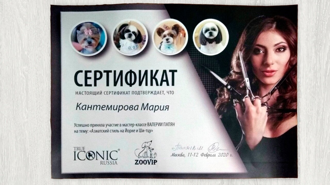 Документ или сертификат