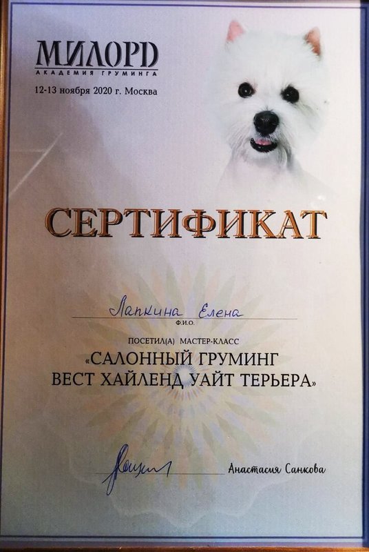 Документ или сертификат