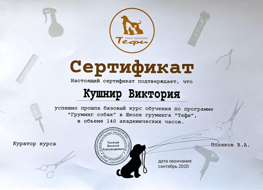 Документ или сертификат