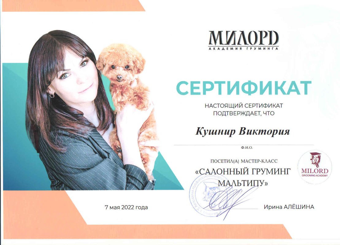 Документ или сертификат