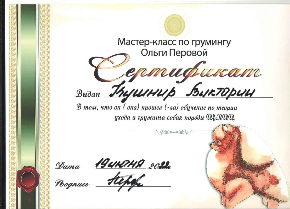 Документ или сертификат