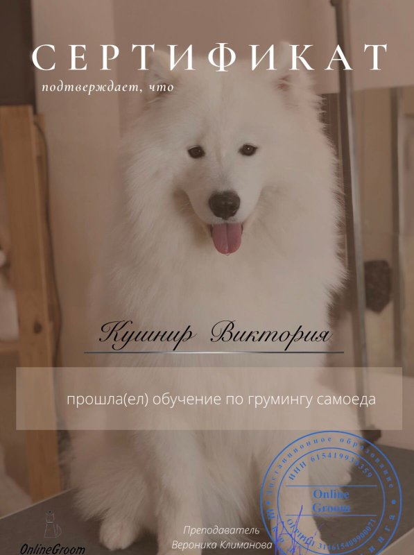 Документ или сертификат
