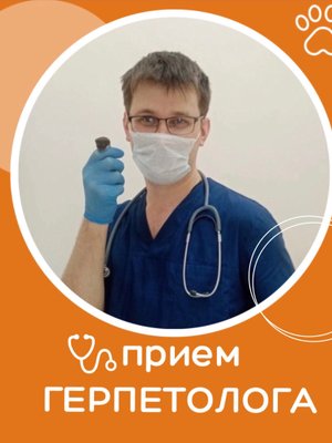 Фото врача Миронов Андрей Владимирович