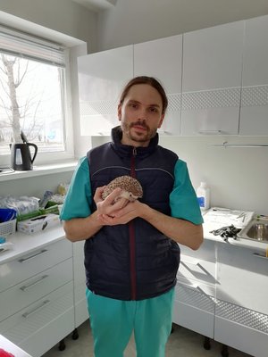 Фото врача Мицинский Николай Валерьевич