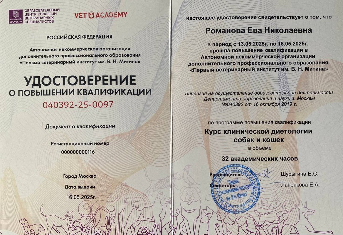 Документ или сертификат